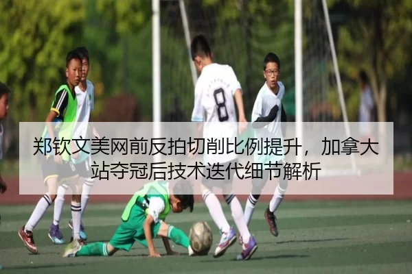 zheng-qin-wen-mei-wang-qian-fan-pai-qie-xiao-bi-li-ti-sheng-jia-na-da-zhan-duo-guan-hou-ji-shu-die-dai-xi-jie-jie-xi-2-769.jpg